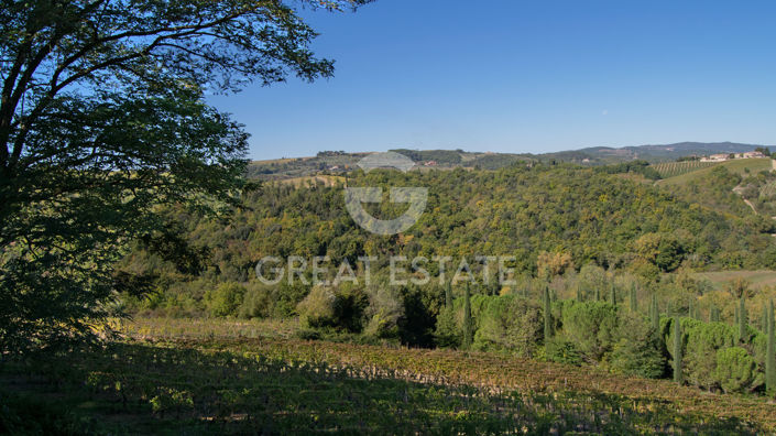 Image No.29-Maison de campagne de 3 chambres à vendre à Gaiole in Chianti