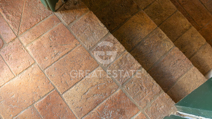 Image No.50-5 Bed Country House for sale