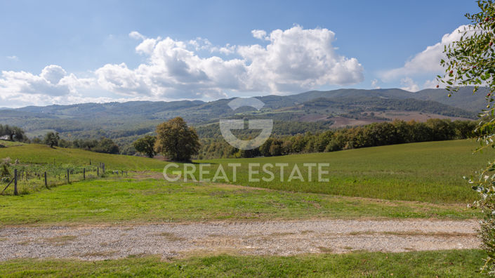 Image No.52-5 Bed Country House for sale