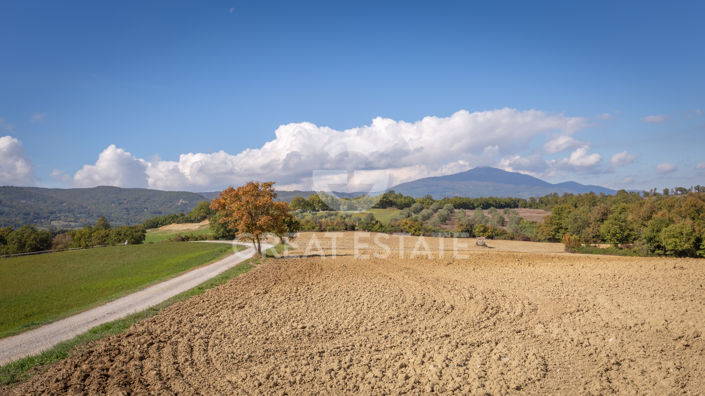 Image No.53-5 Bed Country House for sale