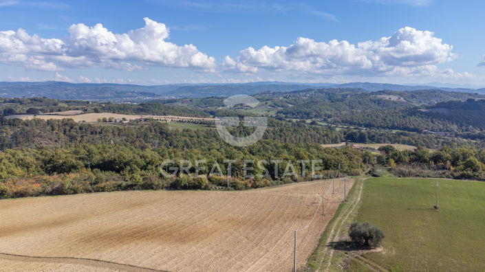 Image No.56-5 Bed Country House for sale