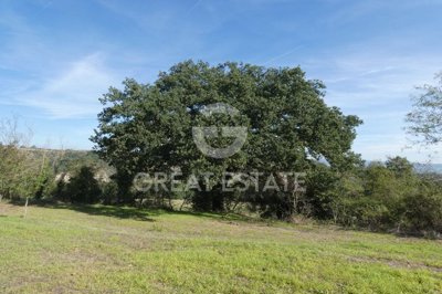 vendesi-rustico-casale-in-toscana-siena-ascia