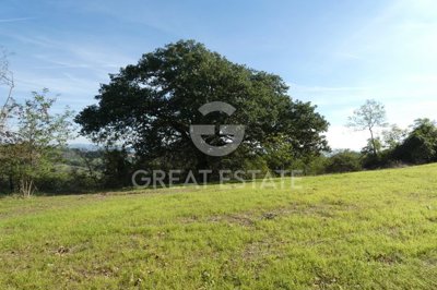 vendesi-rustico-casale-in-toscana-siena-ascia