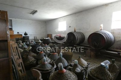 vendesi-rustico-casale-in-toscana-siena-ascia