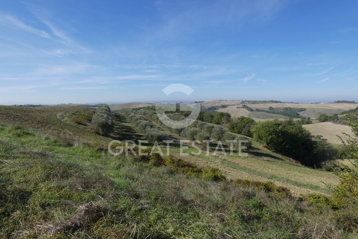 Image No.20-Maison de campagne à vendre à Asciano