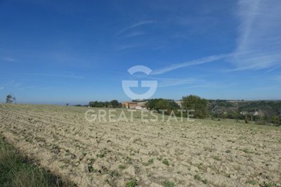 vendesi-rustico-casale-in-toscana-siena-ascia