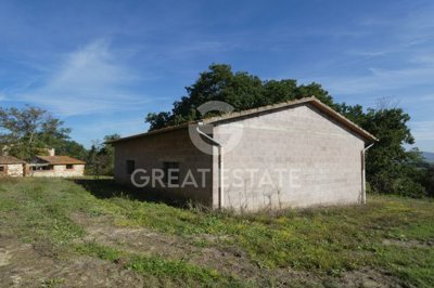 vendesi-rustico-casale-in-toscana-siena-ascia