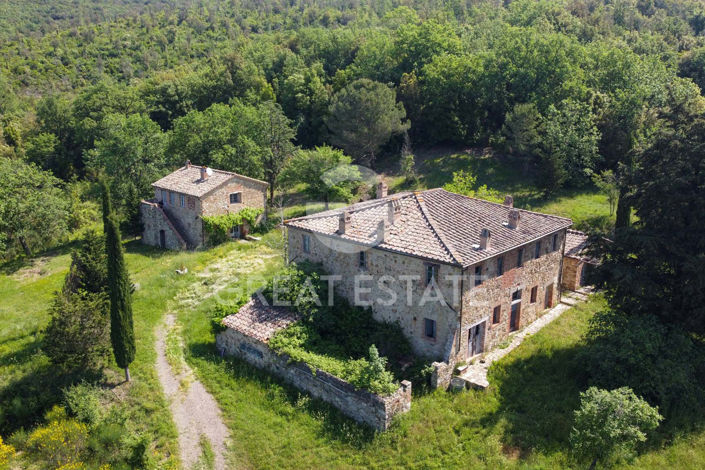 Image No.3-8 Bed Country House for sale