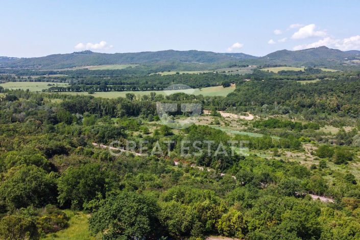 Image No.36-8 Bed Country House for sale