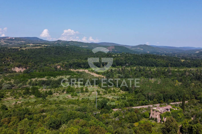 Image No.37-8 Bed Country House for sale