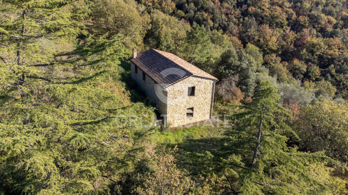 Image No.11-3 Bed Country House for sale