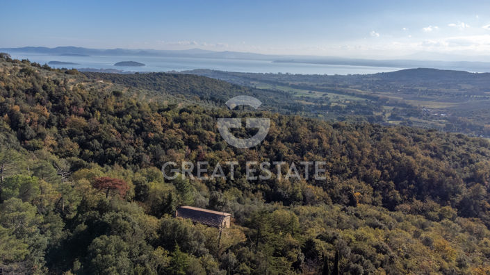 Image No.9-3 Bed Country House for sale