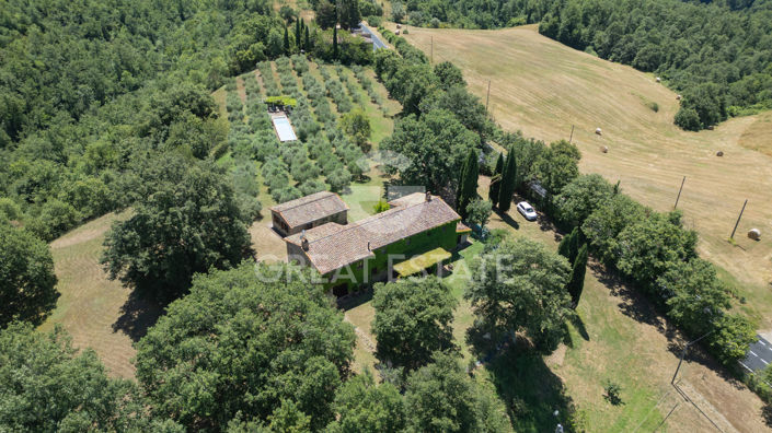 Image No.20-4 Bed Country House for sale