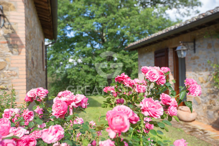 Image No.39-4 Bed Country House for sale