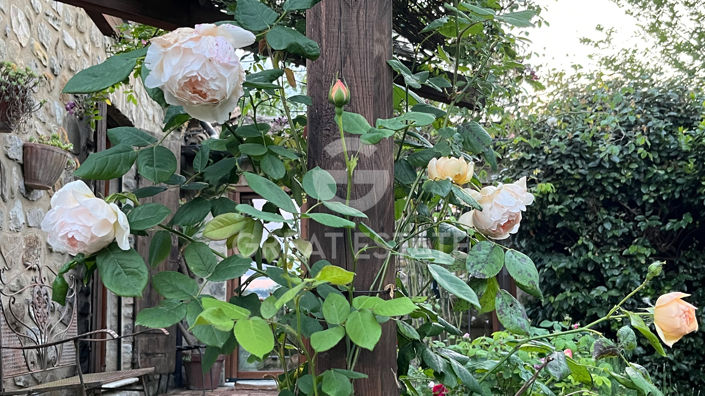 Image No.16-6 Bed Country House for sale