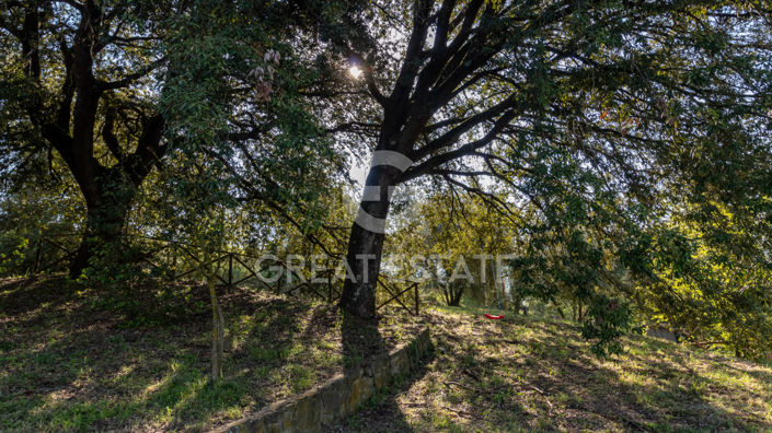 Image No.18-5 Bed Country House for sale