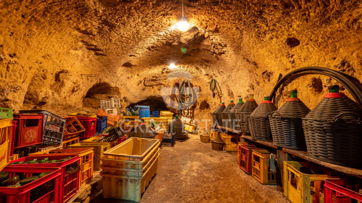 Image No.35-5 Bed Country House for sale