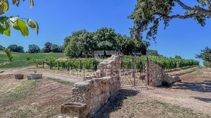 Image No.16-3 Bed Country House for sale