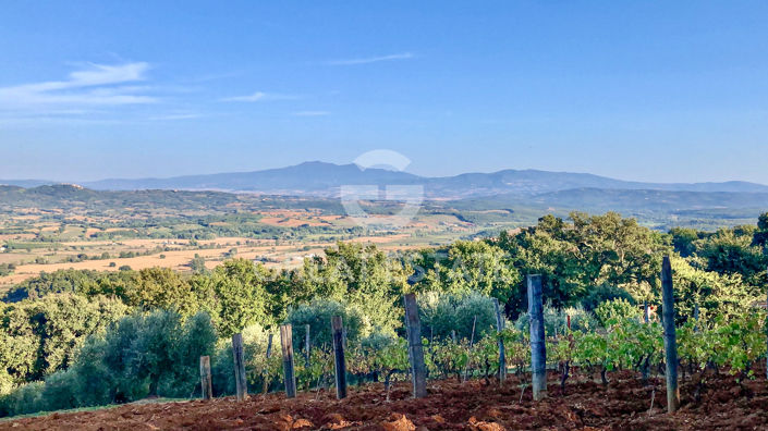 Image No.26-3 Bed Country House for sale