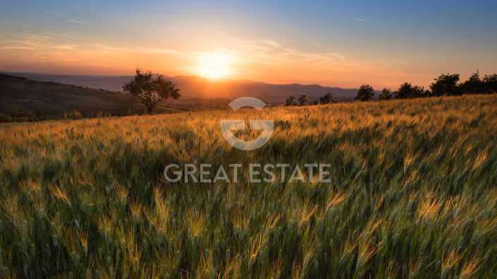 Image No.30-3 Bed Country House for sale