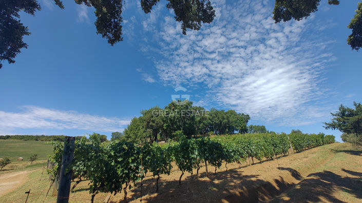 Image No.31-3 Bed Country House for sale