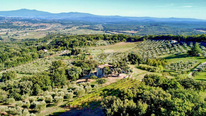 Image No.4-3 Bed Country House for sale