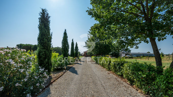 Image No.26-5 Bed Country House for sale