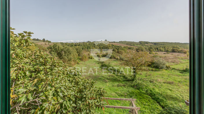 Image No.23-4 Bed Country House for sale