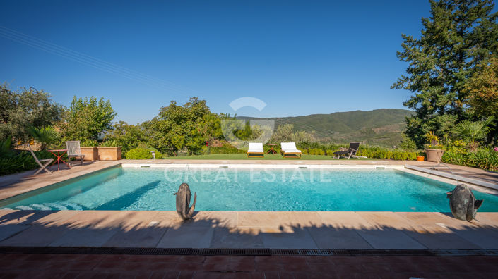 Image No.50-6 Bed Country House for sale