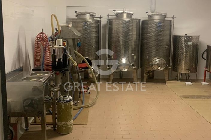 Image No.58-6 Bed Villa for sale