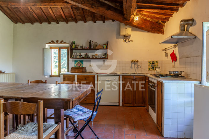 Image No.40-7 Bed Country House for sale