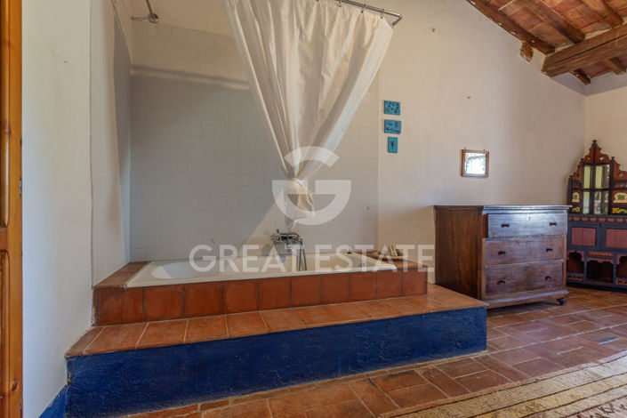 Image No.47-7 Bed Country House for sale