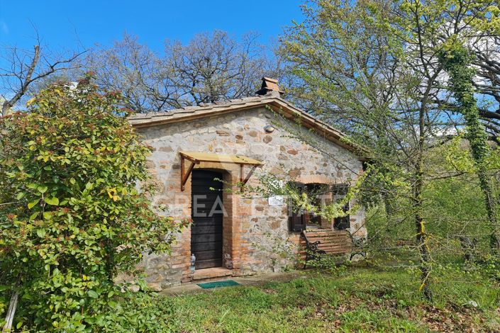 Image No.13-7 Bed Country House for sale