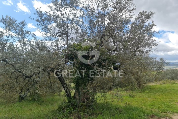 Image No.48-7 Bed Country House for sale