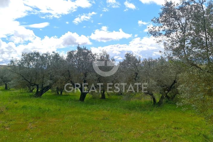 Image No.53-7 Bed Country House for sale