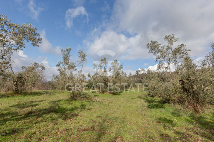 Image No.54-7 Bed Country House for sale