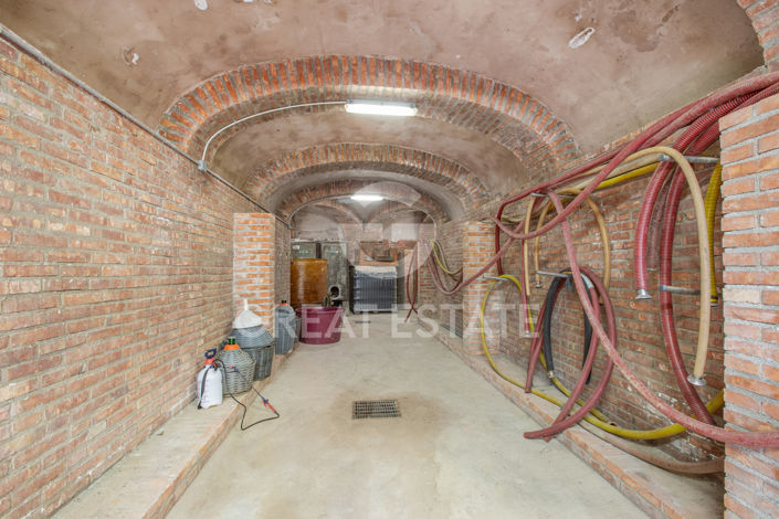 Image No.46-4 Bed Country House for sale