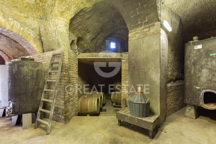 Image No.50-4 Bed Country House for sale