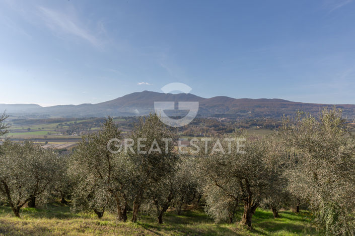 Image No.51-4 Bed Country House for sale