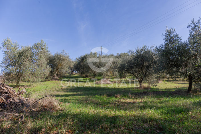 Image No.52-4 Bed Country House for sale