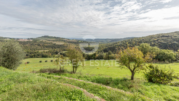 Image No.18-3 Bed Country House for sale