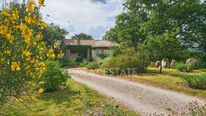 Image No.13-3 Bed Country House for sale