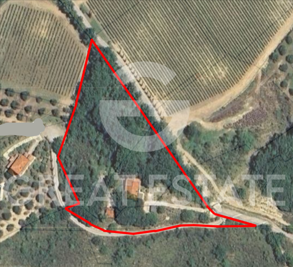 Image No.2-floorplan-2