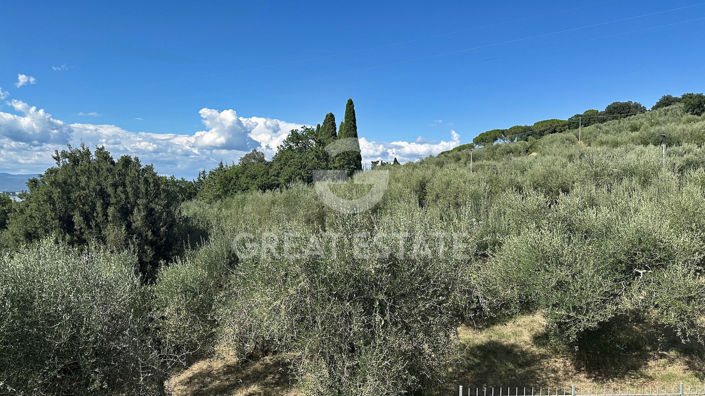 Image No.17-3 Bed Country House for sale