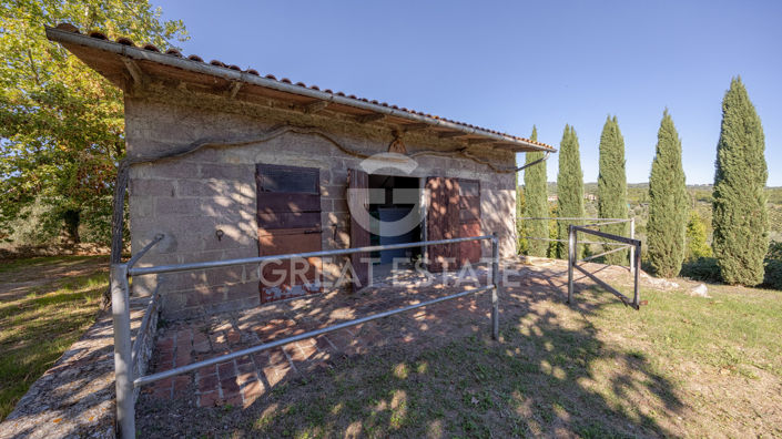 Image No.12-5 Bed Country House for sale