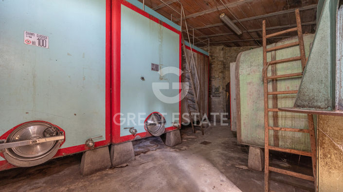 Image No.42-5 Bed Country House for sale