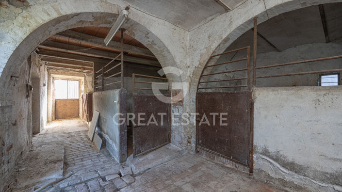 Image No.46-5 Bed Country House for sale