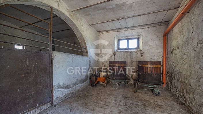 Image No.48-5 Bed Country House for sale