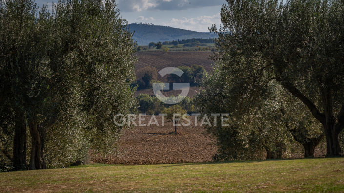 Image No.51-8 Bed Country House for sale