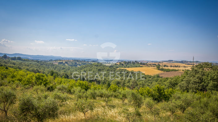 Image No.55-17 Bed Country House for sale
